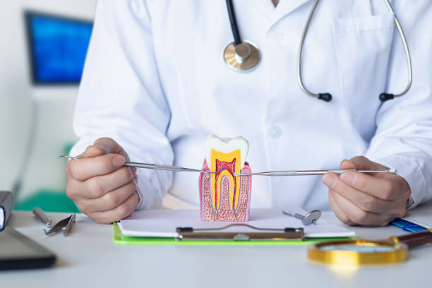 Best Emergency Root Canal Therapy in Pinehurst, ID